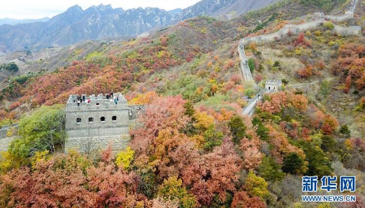 QQ截图20181030102215.jpg